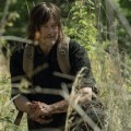 The Walking Dead : diffusion de l'pisode 11x04 sur AMC