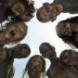 TWD Spin-off : Nouvelles Infos