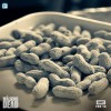 The Walking Dead | Fear The Walking Dead Photos promo Saison 7 