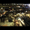 The Walking Dead | Fear The Walking Dead Behind The Scenes 