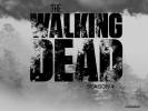The Walking Dead | Fear The Walking Dead Wallpapers 