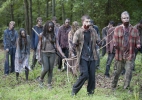 The Walking Dead | Fear The Walking Dead Michonne - Saison 4 