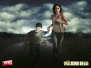 The Walking Dead | Fear The Walking Dead Saison 2 - Photos promo 