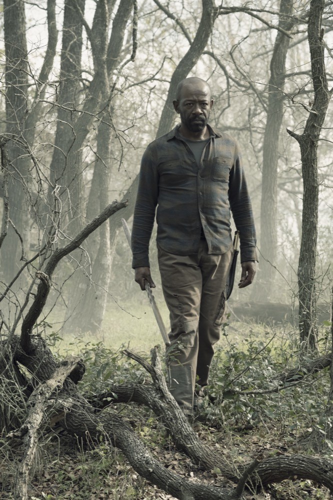 Morgan dans la forêt 